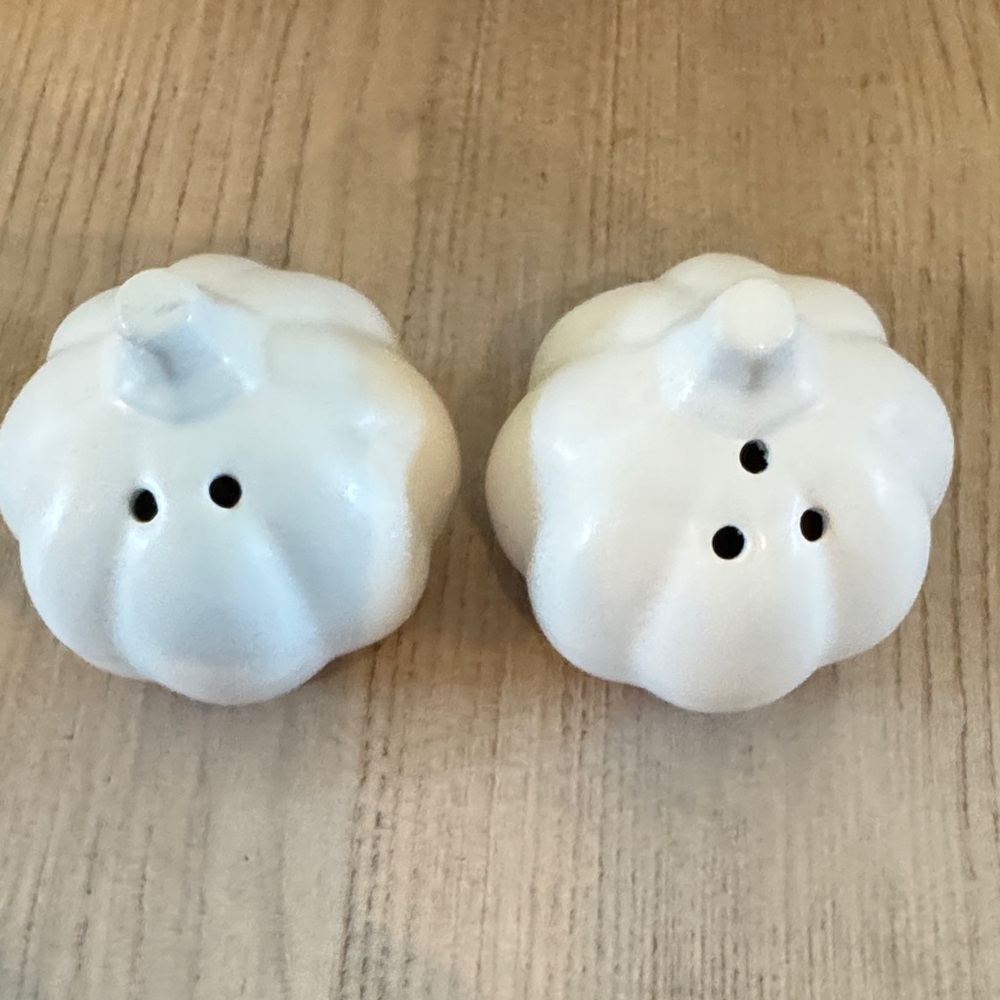 White Pumpkin Salt and Pepper Shaker Set